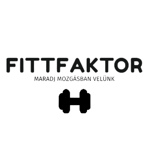 Fittfaktor